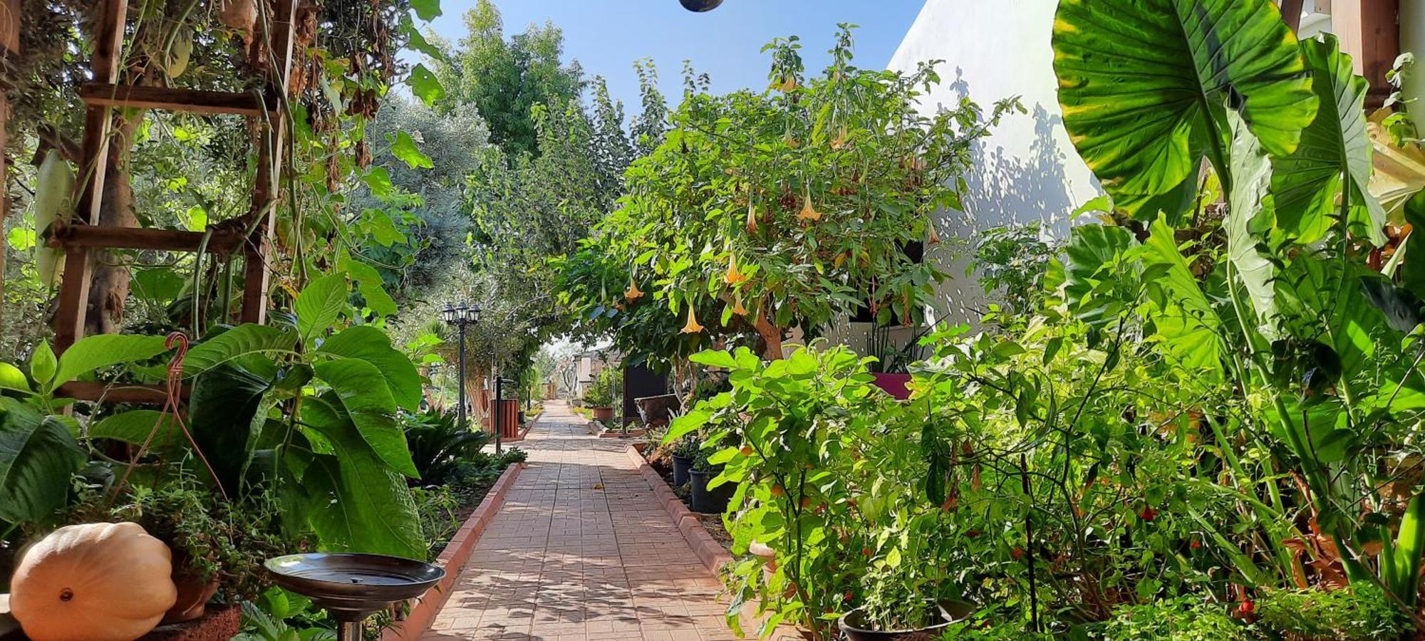 Ferienwohnung Osman Aga Culture House Famagusta  Exterior foto